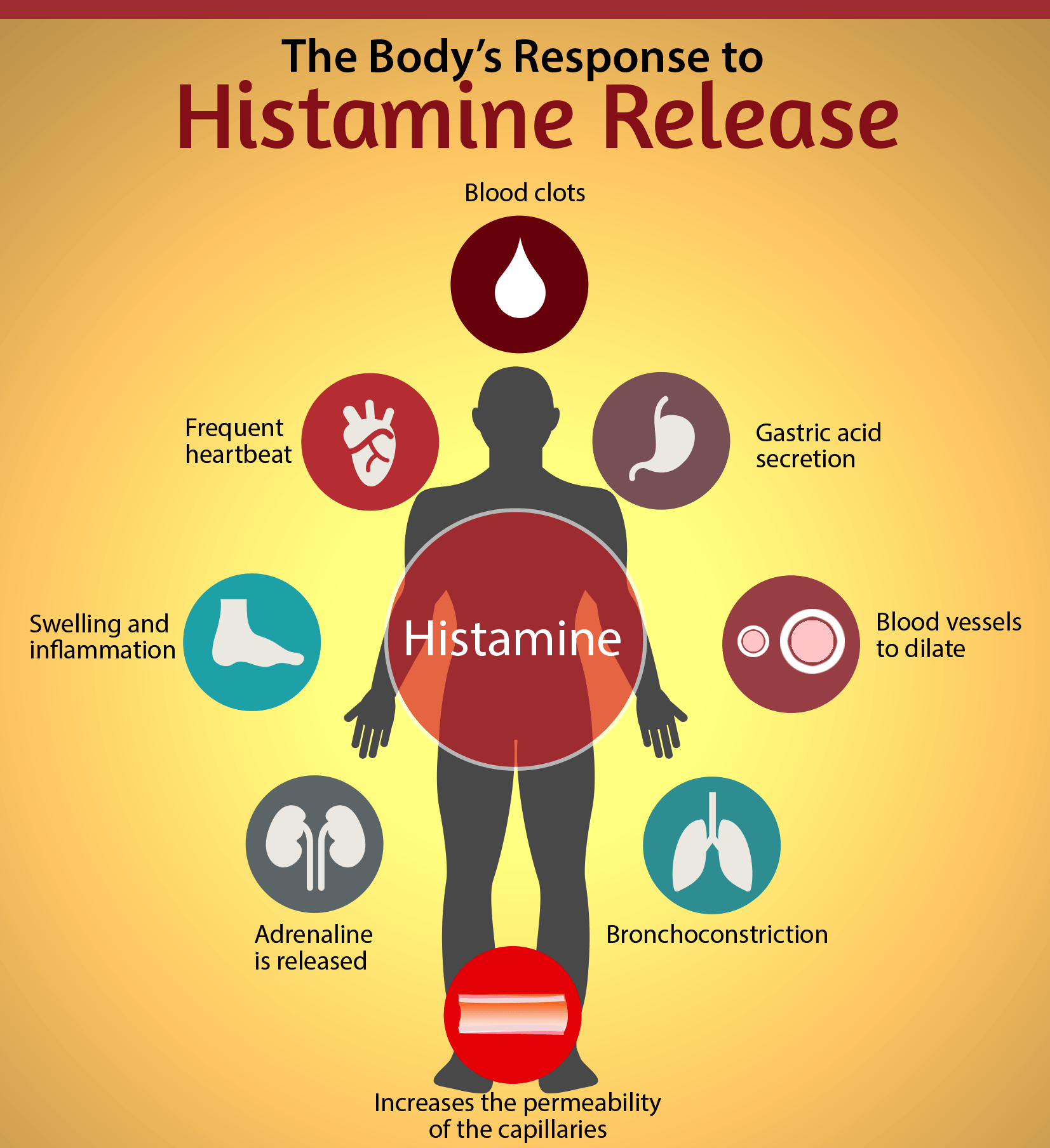 Sanna Ehdin Histaminintolerans allt vanligare kan åtgärdas Ekoappen
