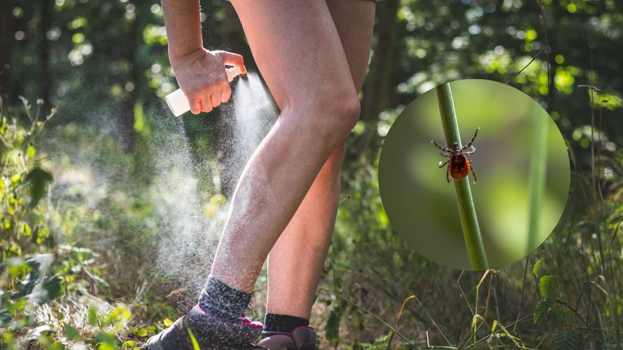 Kvinna i naturen sprayar benen med fästingspray
